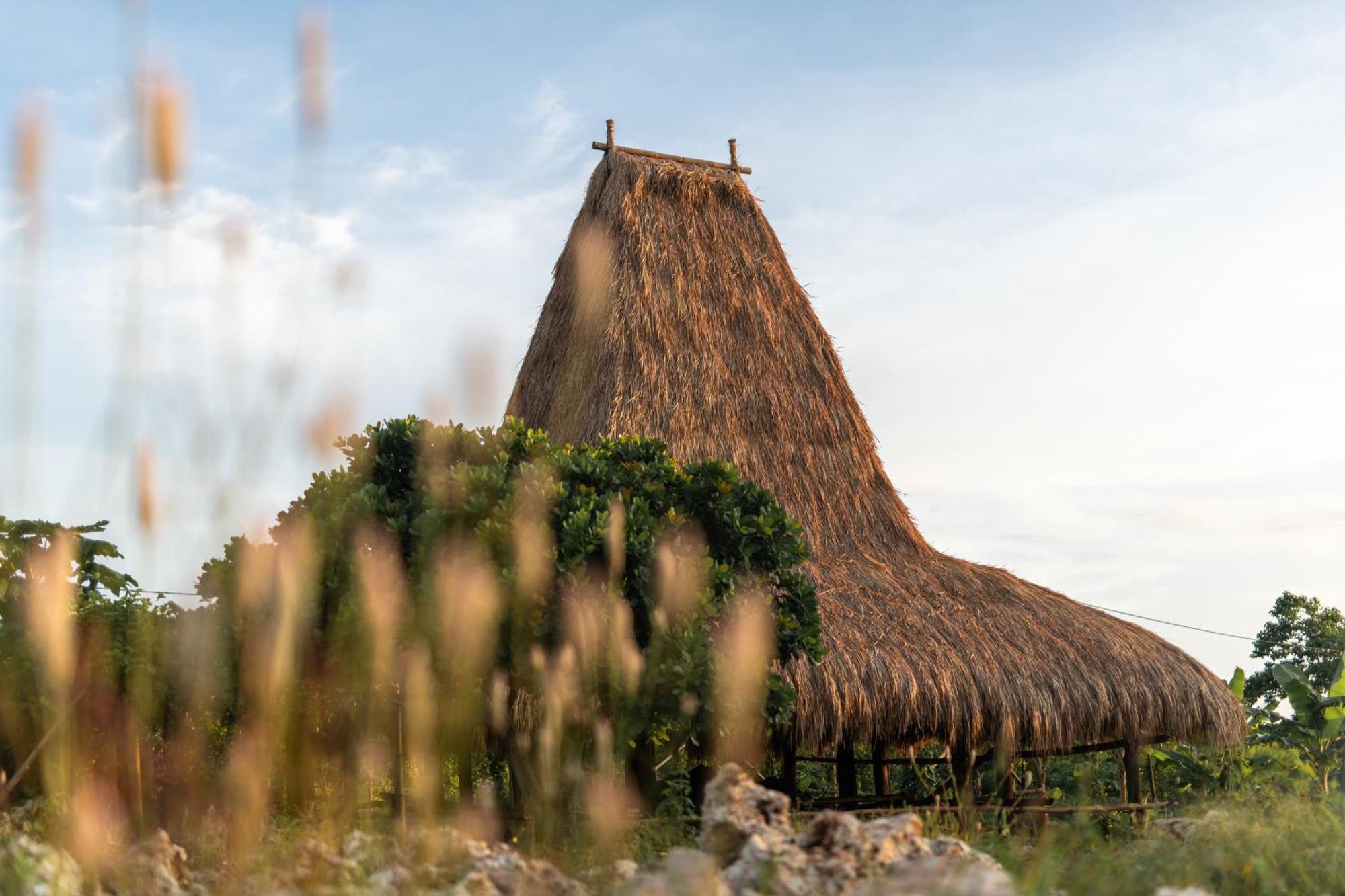 Cap Karoso Sumba - A Member Of Design Hotels Tambolaka Zewnętrze zdjęcie